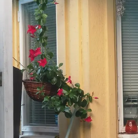 Mummon Saunamoekki * Хельсинки